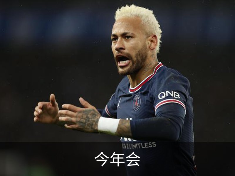 今年会简介